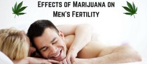 Effects of Marijuana on Men’s Fertility