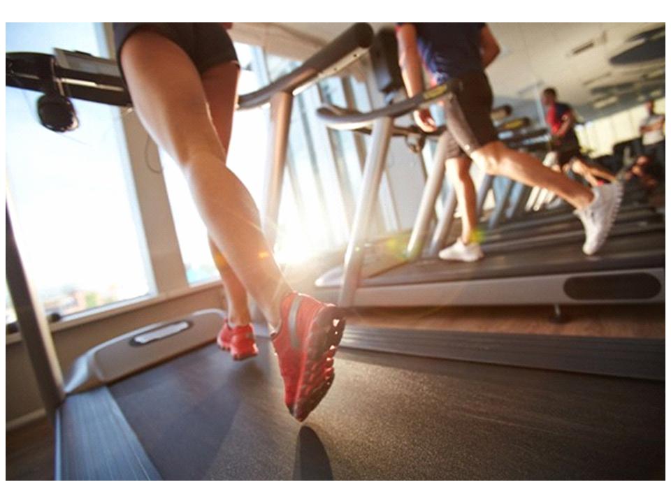 get plenty of exercise