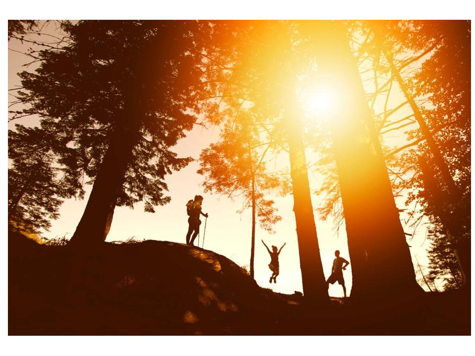 people hiking in nature