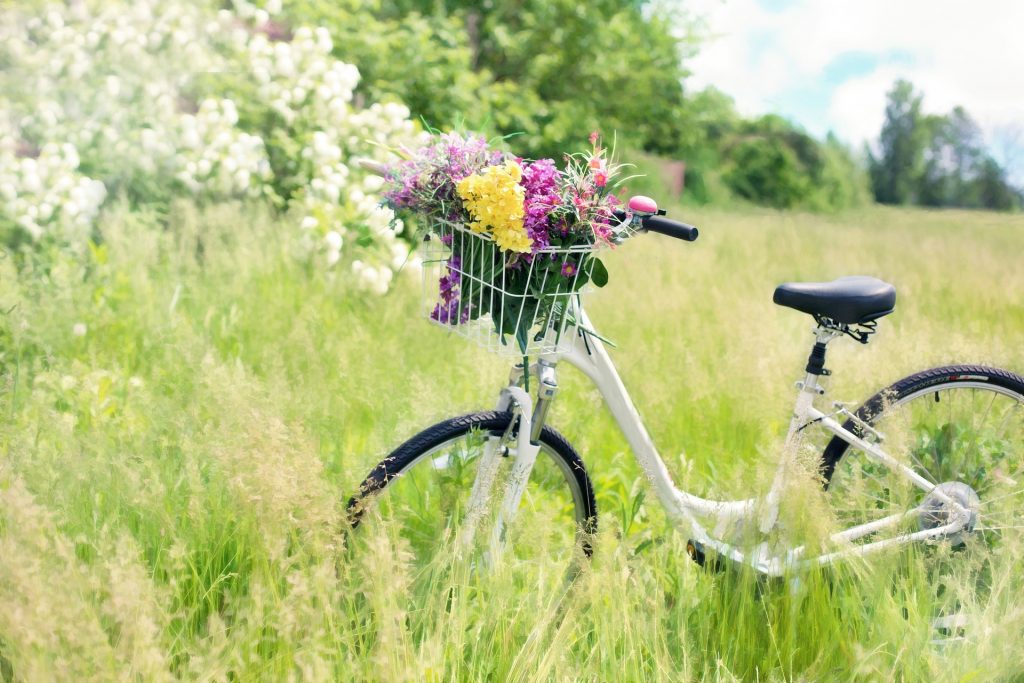 best bike seat