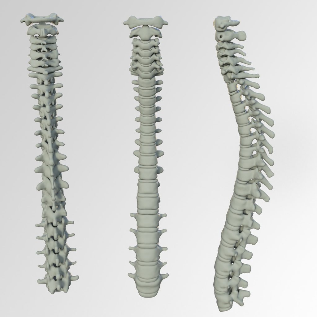 spine problems from poor posture 