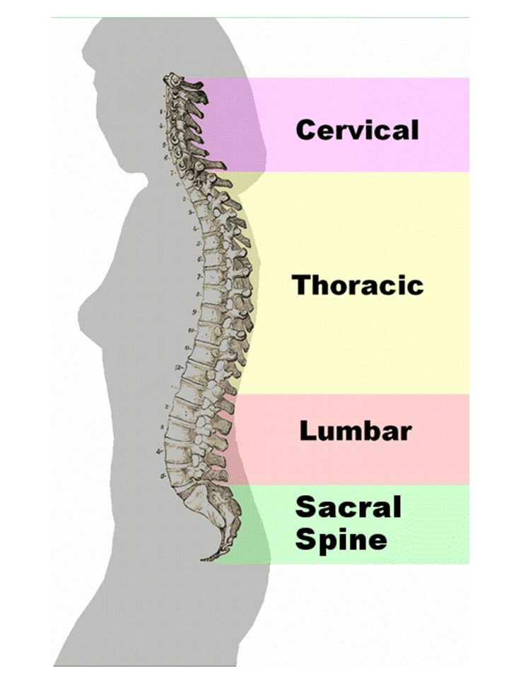 How Bad Posture Could Be Causing Your Neck And Shoulder Pain?