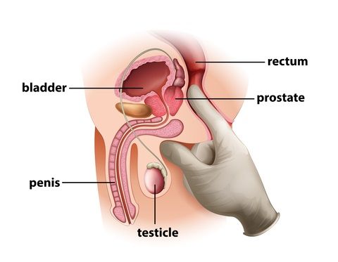 how to massage your prostate gland