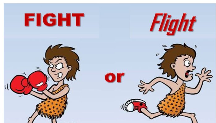 fight or flight response